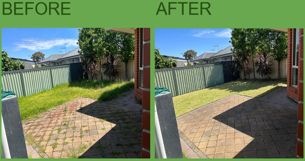 A freshly cut, sharply edged lawn on a Malvern property in bright daylight