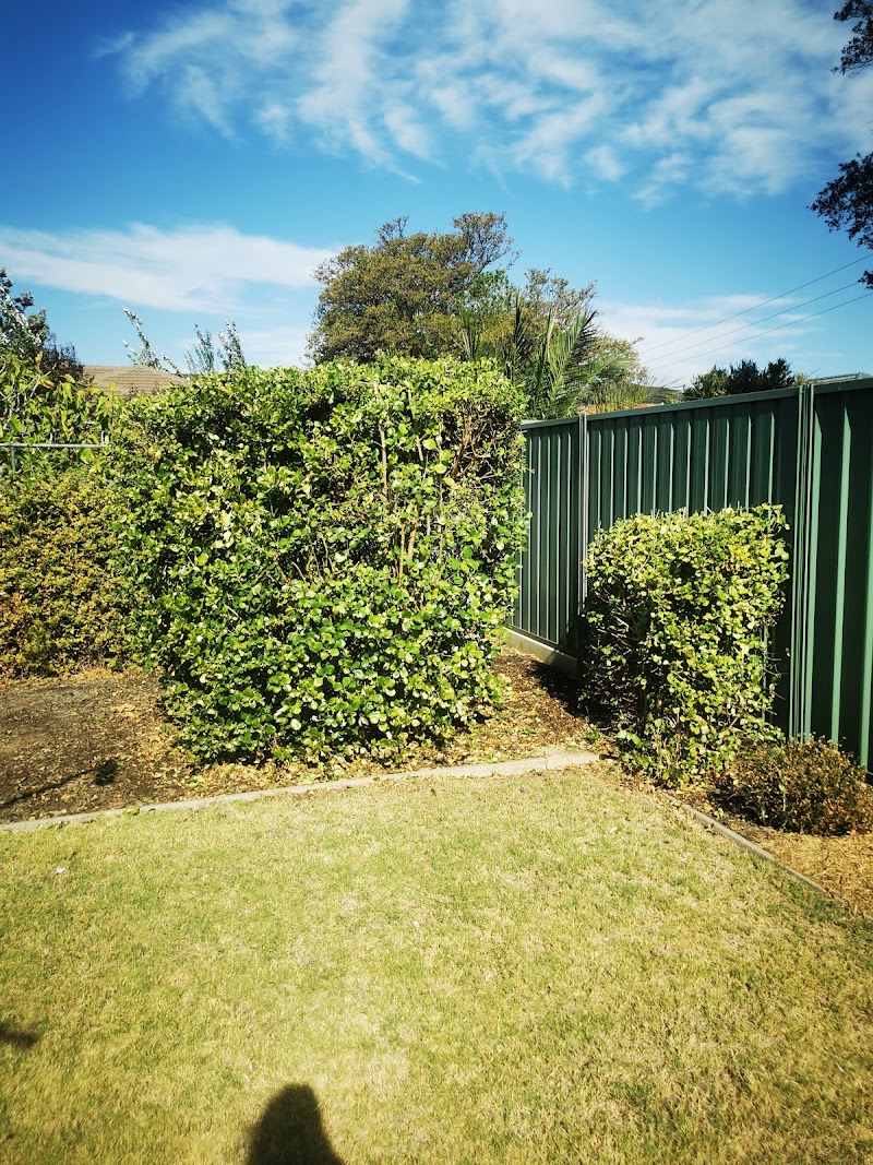 Long portrait shot of a finished lawn and edge line