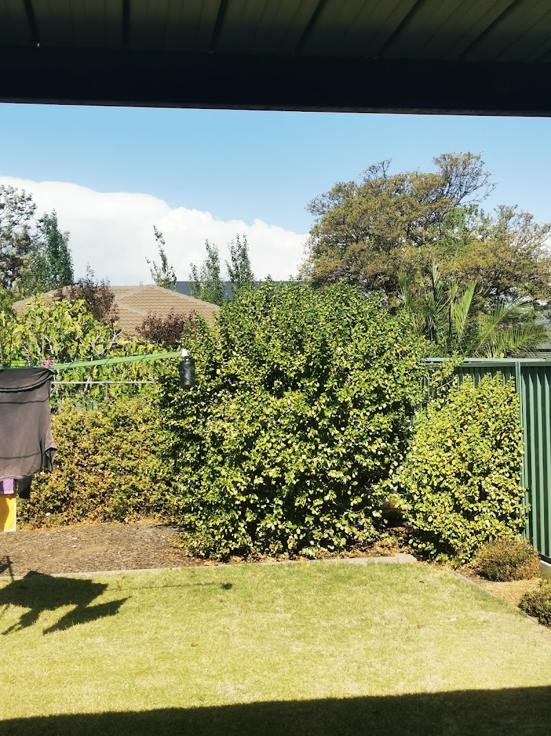 Close view of a mown lawn edge running alongside a path